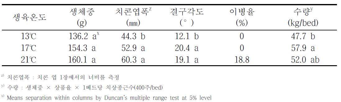 온도별 치콘 생육 특성 및 수량 조사