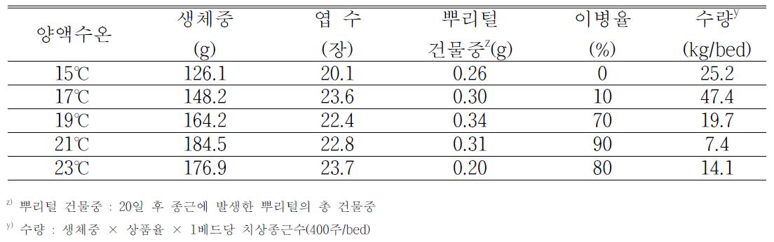 수온별 치콘 생육 특성 및 수량 조사