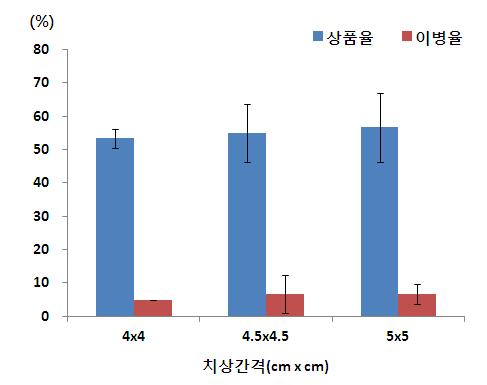 근경 3~4cm 미만 종근의 치상간격별 치콘 상품율, 이병율 비교