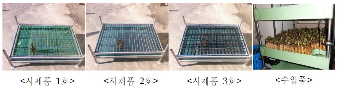 치콘 생산용 베드 사진