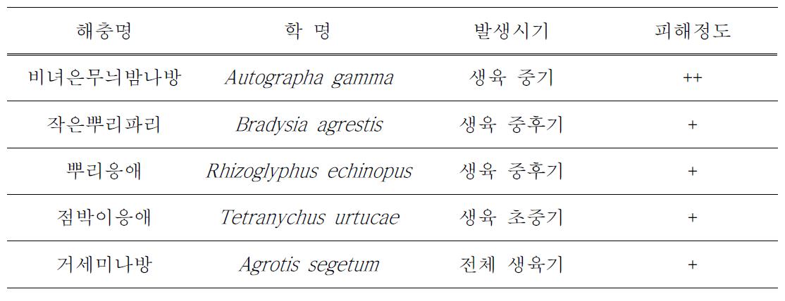 치커리 발생 해충 및 피해정도