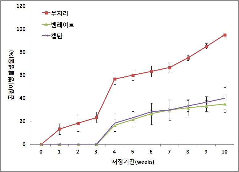 살균제 처리에 따른 치콘 종근의 병해 발생율