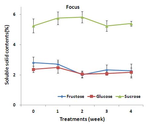 2℃ 저온처리 기간 경과에 따른 ‘Focus’품종 유리당 함량 변화