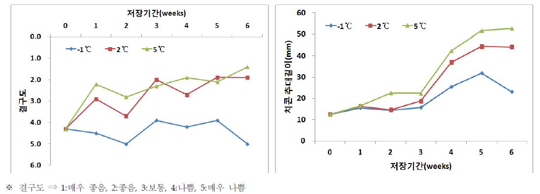 해동처리 온도 • 기간에 따른 치콘 결구도 및 추대길이 변화