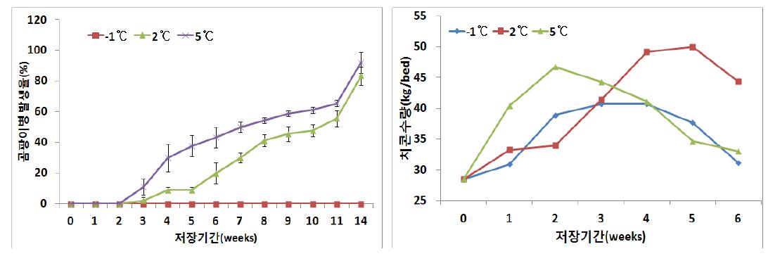 해동처리 온도 • 기간에 따른 종근 곰팡이병 발생율 및 치콘수량 변화