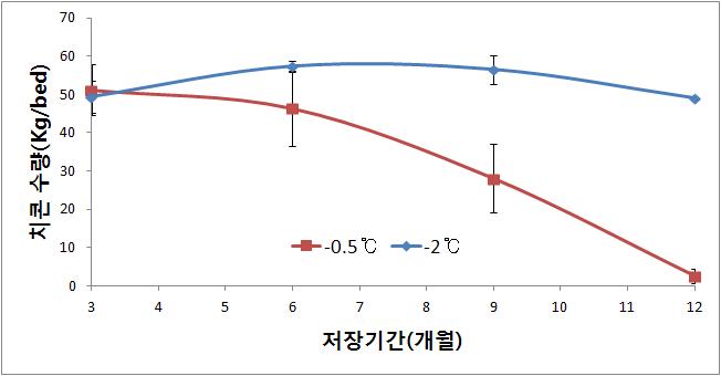 저장온도별 종근 저장기간에 따른 치콘 수량 비교