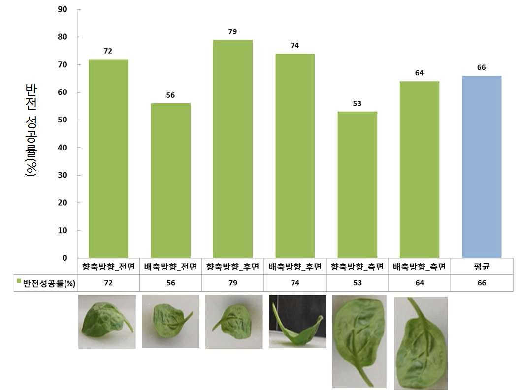 굴곡 판형 반전장치의 어린 시금치 반전시험 결과(평균 성공률 66%)