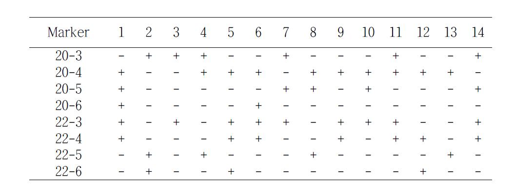 SSR band pattern produced by SSR 20 primer in Phalaenopsis.