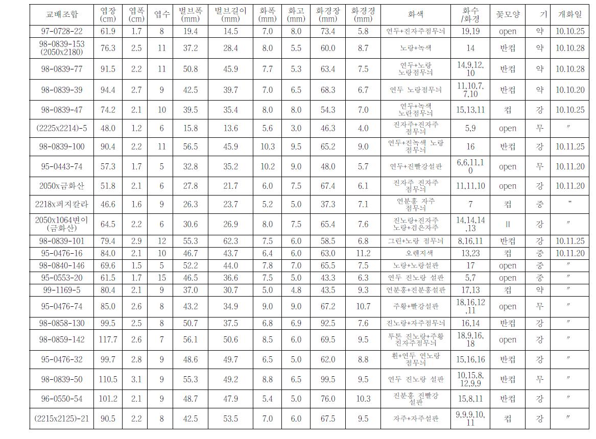 ‘11년 선발계통 생육 및 개화특성 (4년차)