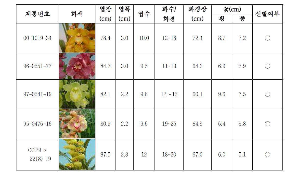 1차 특성 검정계통 생육특성 (‘12년)