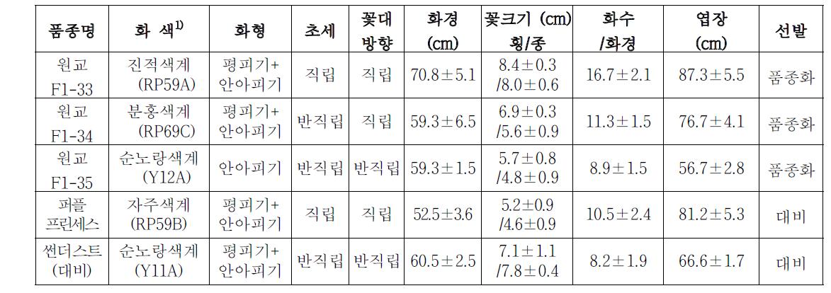 2차 특성 검정계통의 생육특성 (‘11년, 4년차)