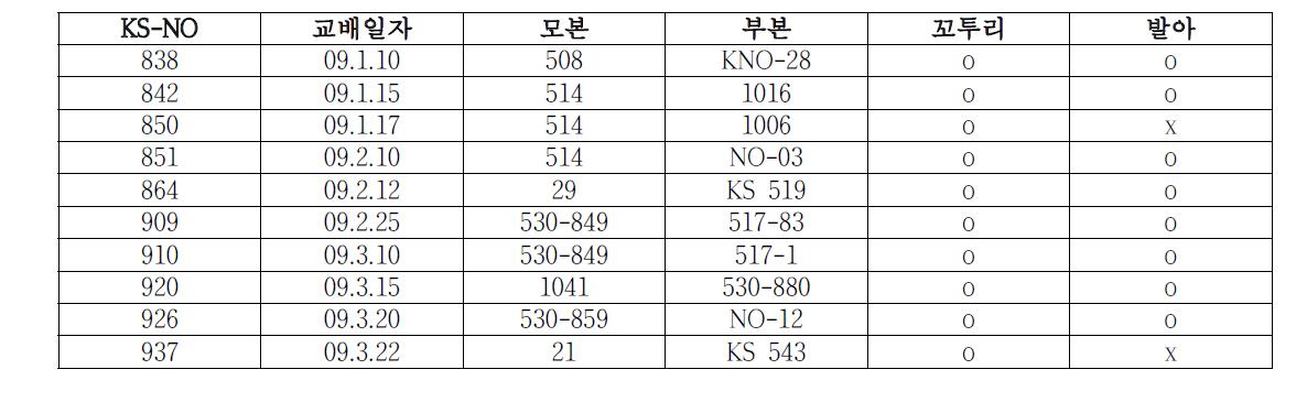 ‘ 09 교배조합 및 기내파종 (10조합)