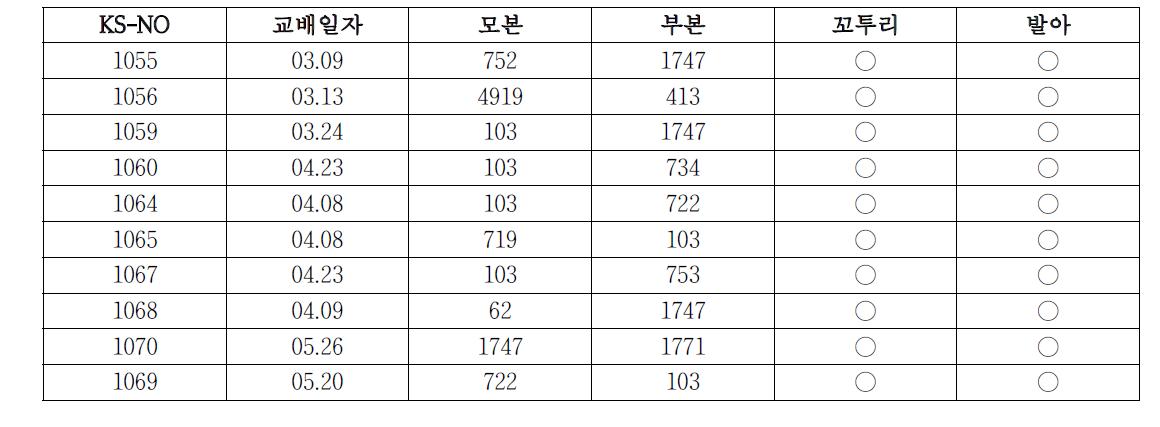 ‘12 교배조합 빛 기내파종 (10조합)