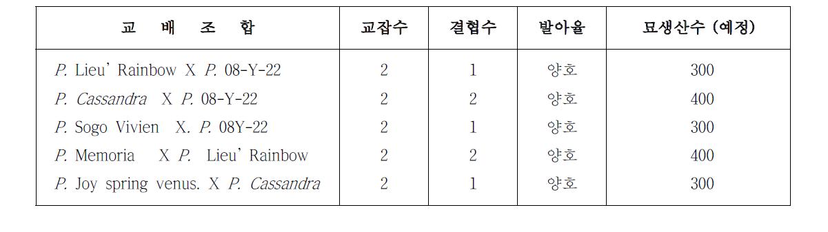 미니다화성계 교배조합 작성