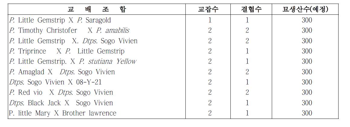 미니다화성계 교배조합 작성