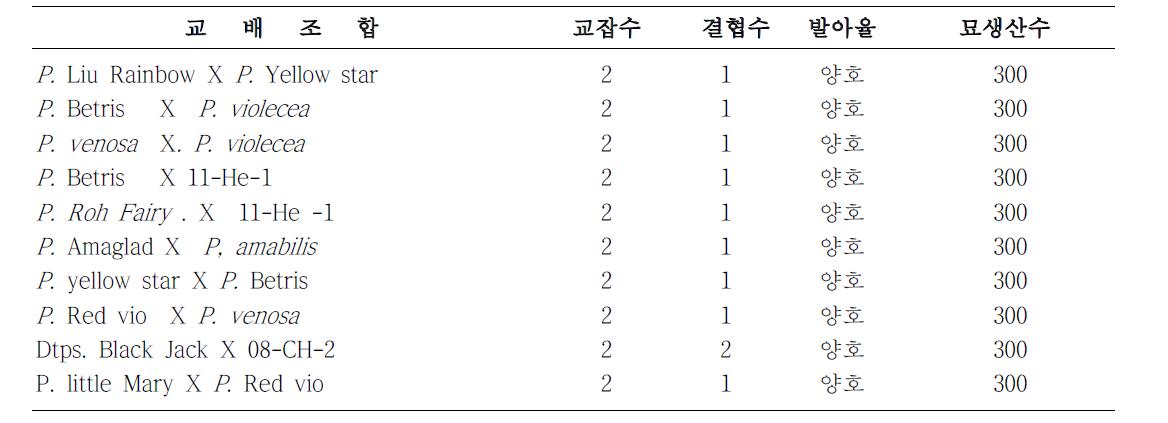 미니다화성계 교배조합 작성