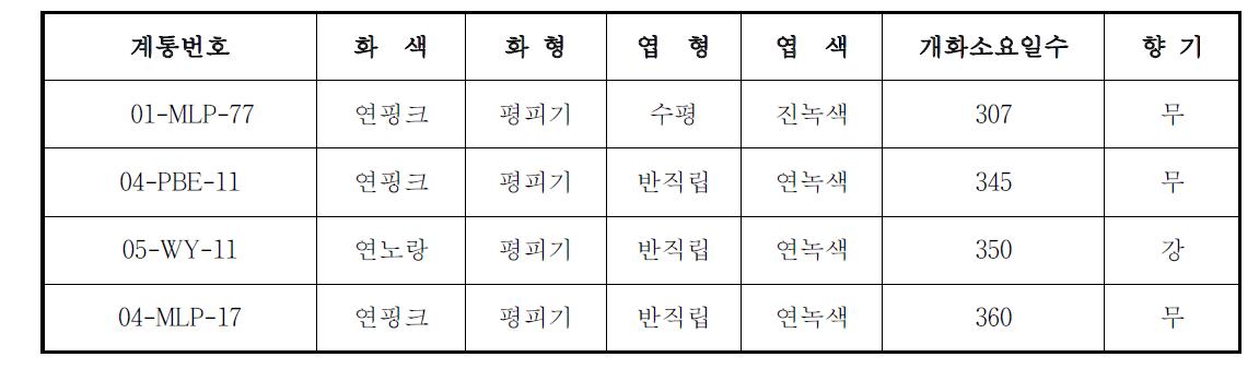 선발 계통의 주요 특성