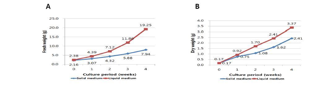 Effect of medium type on the growth of PLB in Cymbidium ‘Yoongflower * masako’ PLBs (Medium contained HCa with or without plant agar and charcoal)