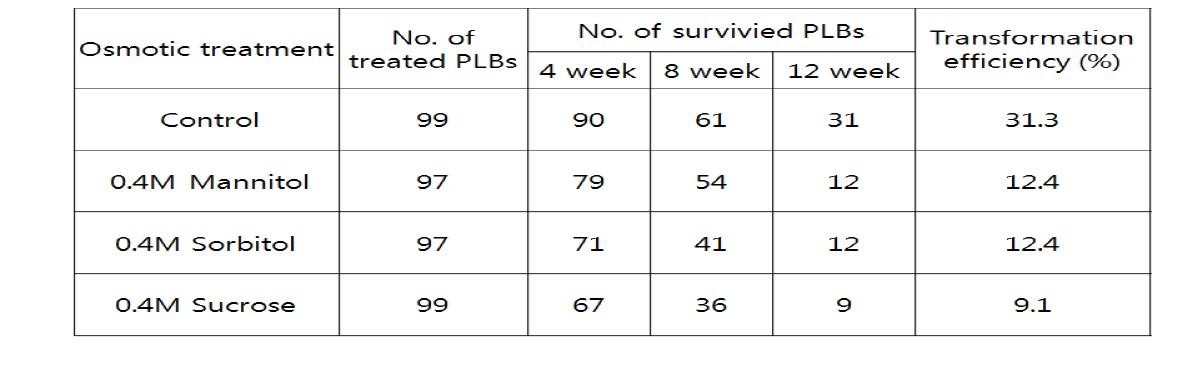 삼투압조절제 전처리가 심비디움 PLB를 이용한 형질전환 효율에 미치는 영향