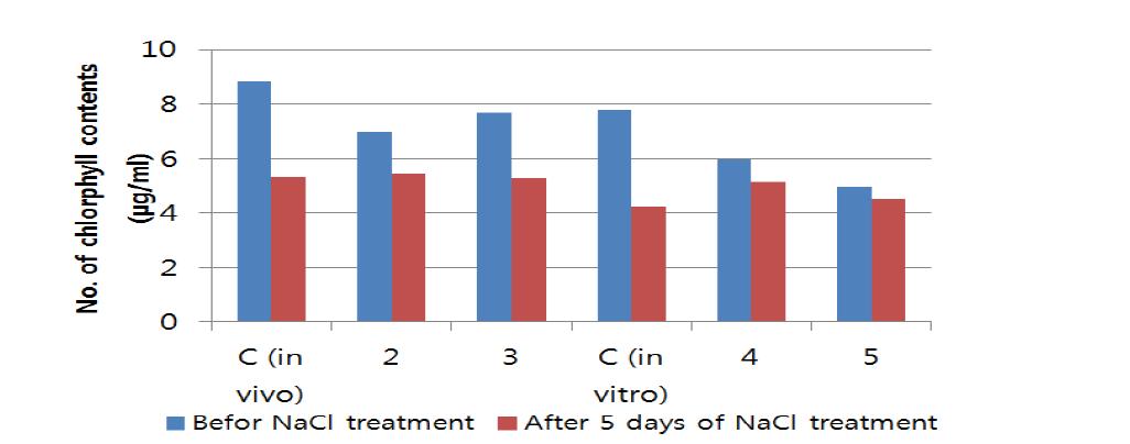 NaCl test analysis of transgenic cymbidium plants. A) Analysis of NaCl test and chlorophyll contents in transgenic and wild type plants. (Chlorophyll content before- and after 200 mM NaCl test)