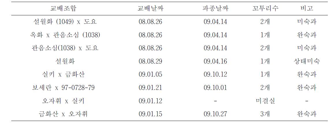 2009년 교배조합 및 결실수