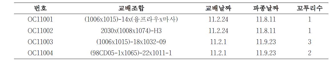 2011년 교배조합 및 결실수