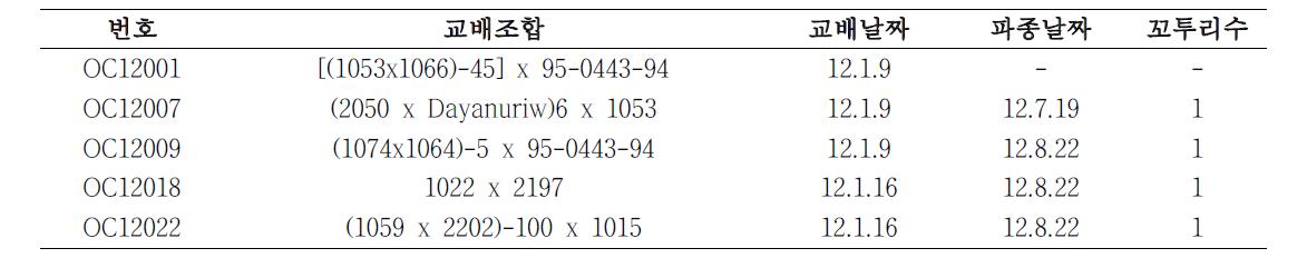 2012년 교배조합 및 결실수