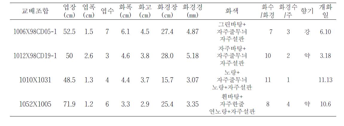 2009년 선발계통 생육 및 개화특성