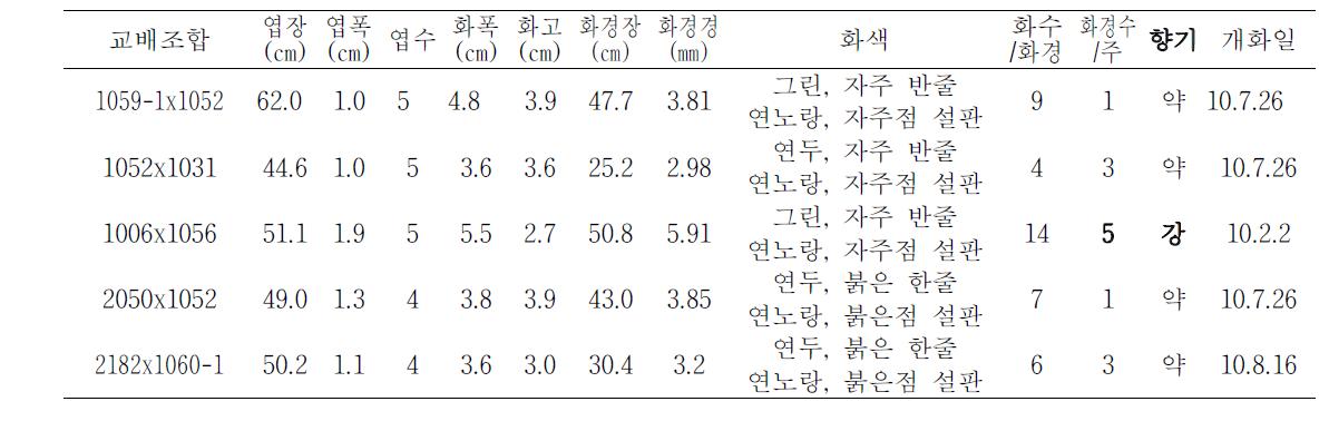 2010년 선발계통 생육 및 개화특성