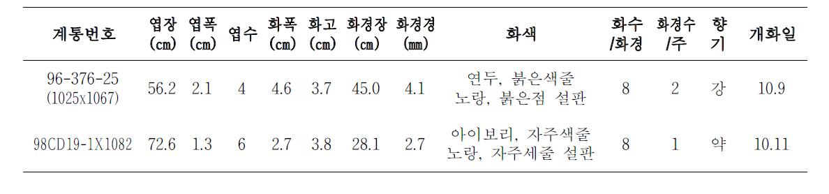 2011년 선발계통 생육 및 개화특성