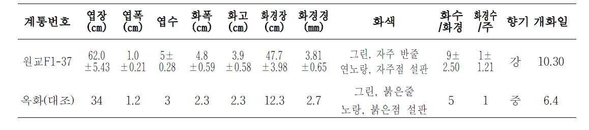 2011년 1차 특성검정용 계통의 생육 및 개화특성