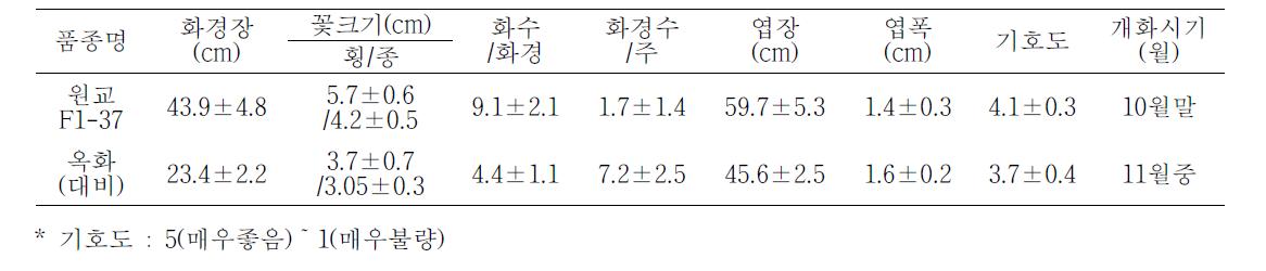 종간교잡종 품종‘ 샐빛’ 난의 고유특성