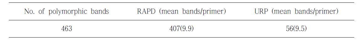 유연관계 분석에 이용된 RAPD와 URP 다형성 밴드 수