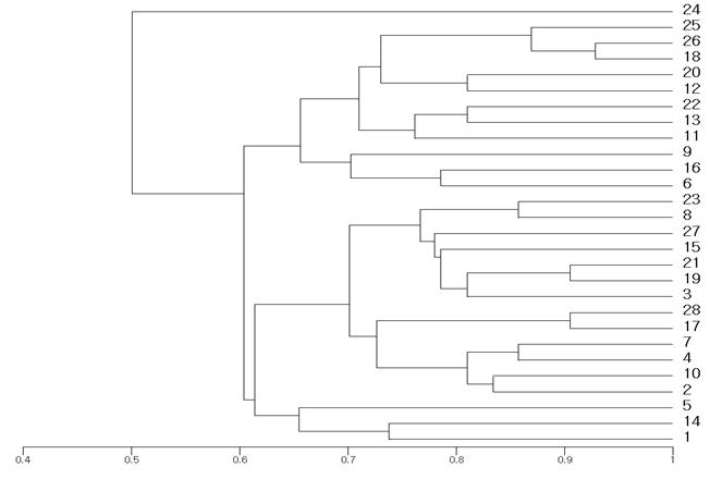 Dendrogram of 28 Cymbidiums based on UPGMA generated by cluster analysis of genetic distance