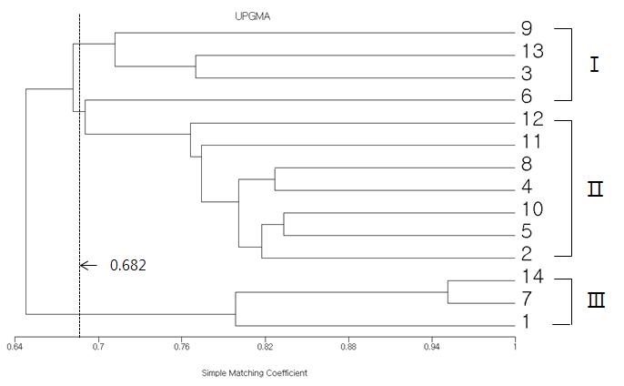 Dendrogram of 14 Phalaenopsis based on UPGMA generated by cluster analysis of genetic distance