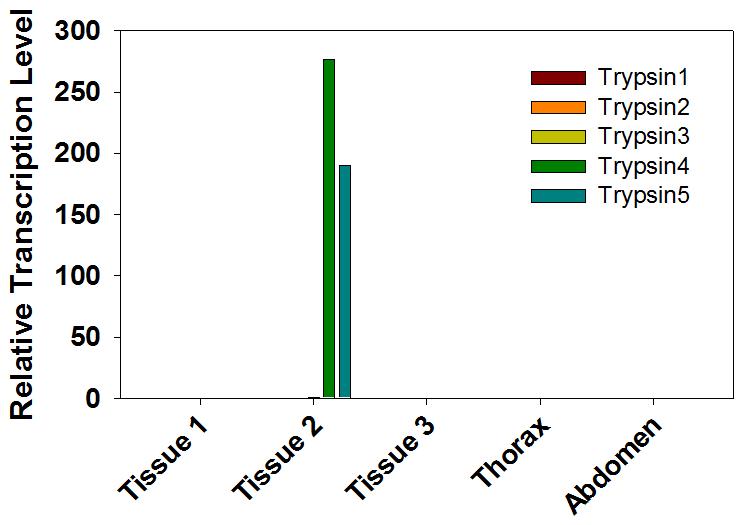게아재비 trypsin 5종의 실시간 상대정량 PCR 결과