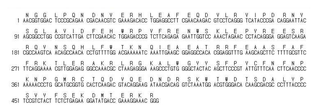 게아재비 hyaluronidase의 부분 염기서열과 아미노산 서열