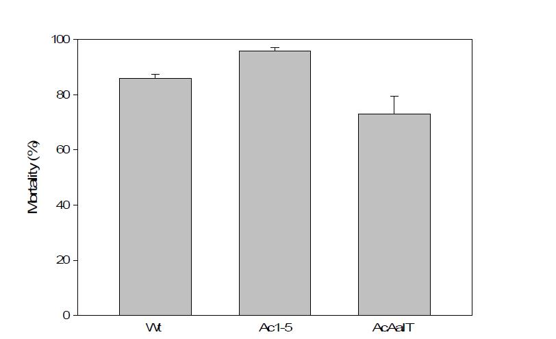 Larval mortality of S. exigua in the treatment of baculovirus wildtype, Ac1-5, and AcAaIt.