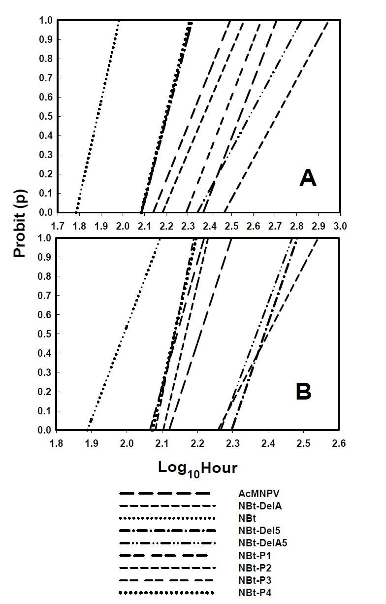 The relationship between probit (p) and LC10hour of nine insecticidal agents to P lutella xylostella (A) and Spodoptera exigua (B).