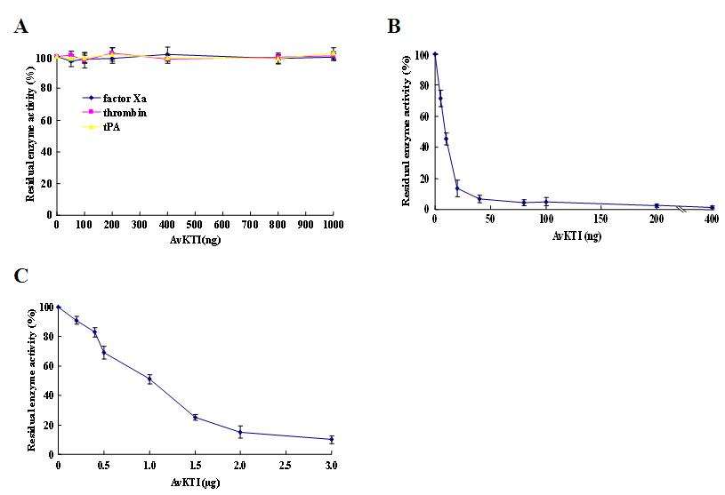 AvKTI inhibits plasmin and elastase, but not factor Xa, thrombin, or tPA. (A) Inhibitory activity of AvKTI against several enzymes associated with the hemostatic system. Factor Xa, thrombin, or tPA was incubated with increasing amounts of AvKTI, and the residual enzyme activity was determined (n=3). (B,C) The inhibitory activities of AvKTI against plasmin (B) and neutrophil elastase (C). Plasmin or neutrophil elastase was incubated with increasing amounts of AvKTI, and the residual enzyme activity was determined (n=3).