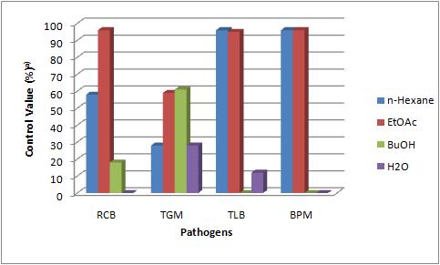 호장근 메탄올 추출물로부터 획득한 4개 유기용매분획층의 4가지 식물병에 대한 방제활성. RCB: 벼 도열병, TGM: 토마토 잿빛곰팡이병, TLB: 토마토 역병, BPM:보리 흰가루병.