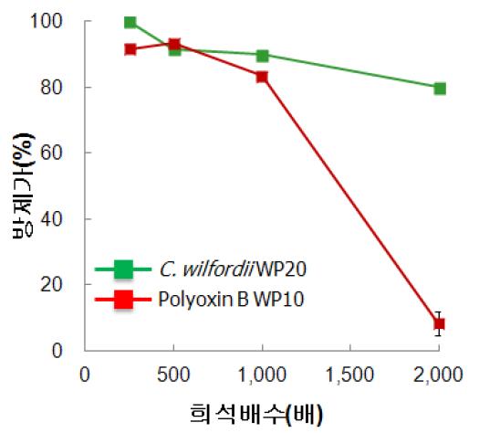백하수오 에틸아테이트 추출물 분말수화제의 보리 흰가루병에 대한 방제 효과(C.wilfordii-WP20: 백하수오 에틸아세테이트 추출물 분말수화제, Polyoxin B-WP10: polyoxin B 10% 분말수화제).