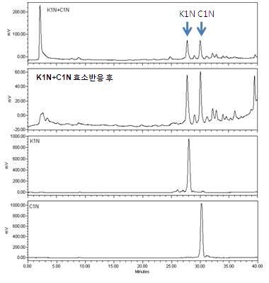 β-glucosidase를 이용하여 반응시킨 K1N+C1N의 HPLC 분석.
