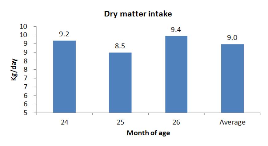 Monthly dry matter intake during the finishing period