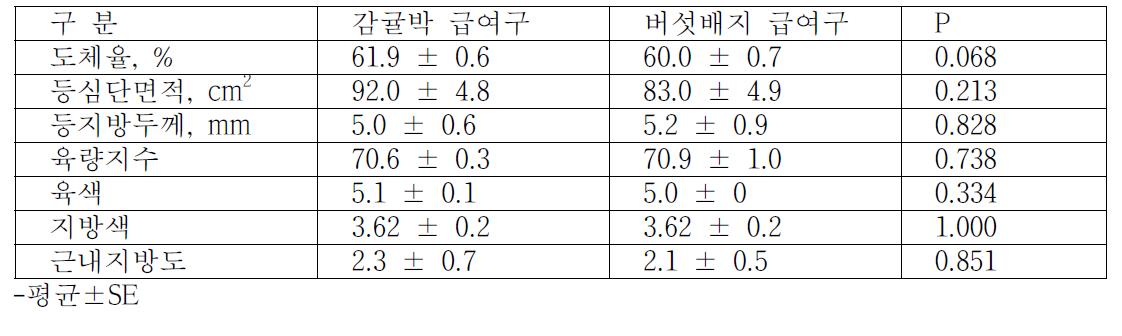 비육마 시험축 도체 특성