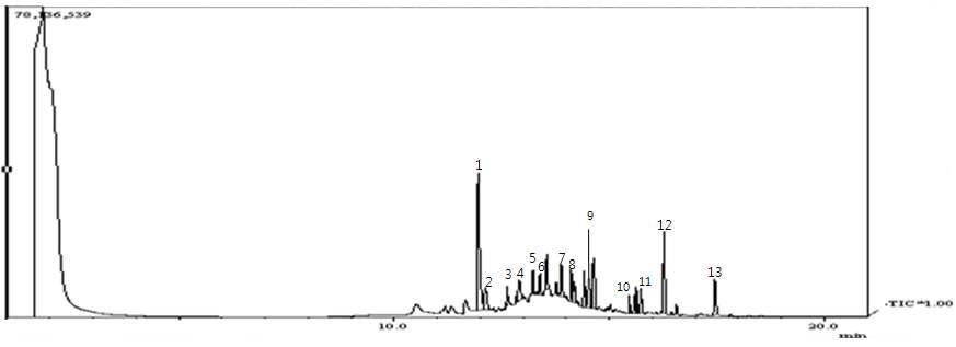 포집한 고등어 휘발물질 1차 분석한 GC-MS 그래프