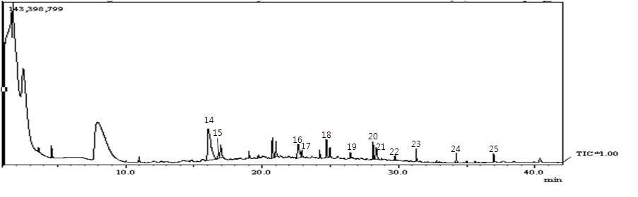 포집한 고등어 휘발물질 2차 분석한 GC-MS 그래프