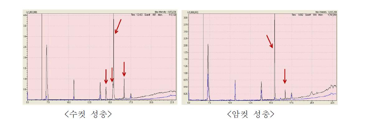 우화한지 1일, 9일된 톱다리개미허리노린재 미교미 암, 수컷 성충의 GC peak (파란선 : 1일차, 검은선 : 9일차) (2010년)