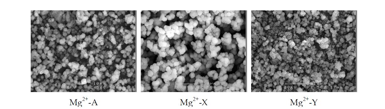Mg2+ 이온으로 교환된 제올라이트 A, X 및 Y의 SEM 이미지