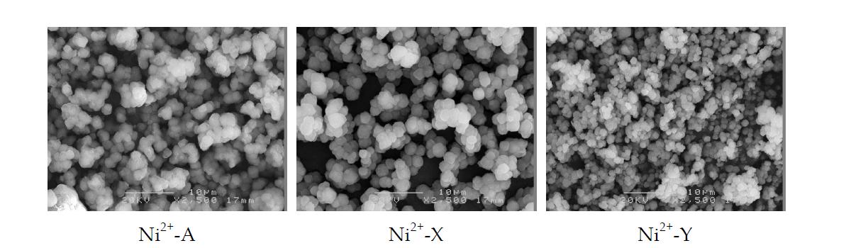 Ni2+ 이온으로 교환된 제올라이트 A, X 및 Y의 SEM 이미지